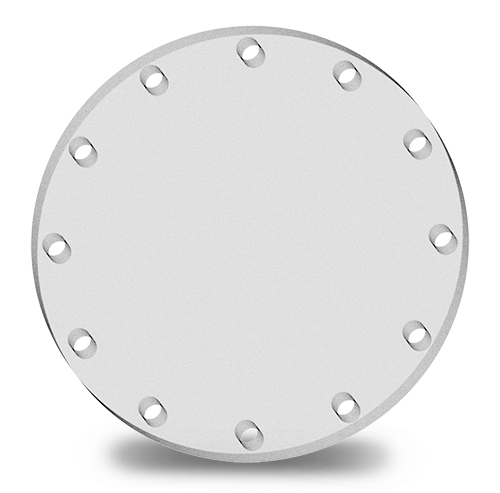 Sight Glass Blind Flange 12"